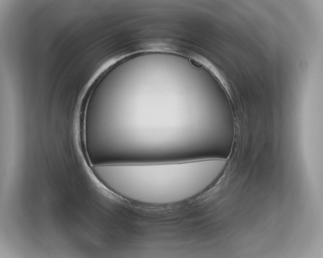 X0000113251147200909100938