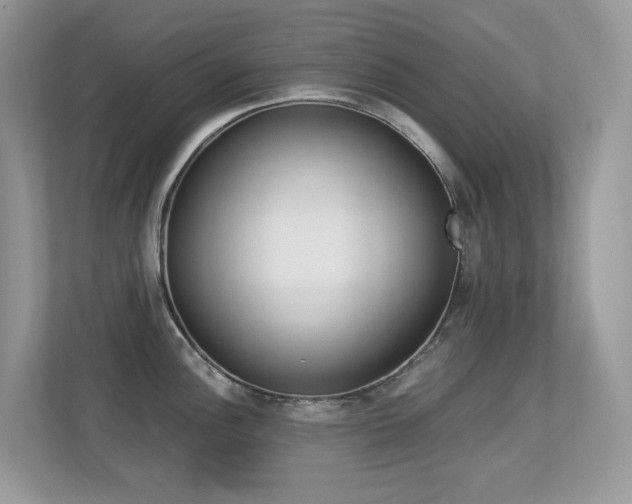 X0000113251148200909100938