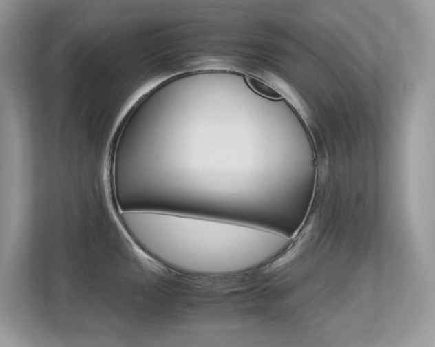 X0000113251149200909100938