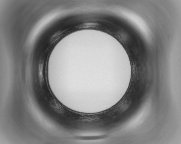 X0000113251150200909100938