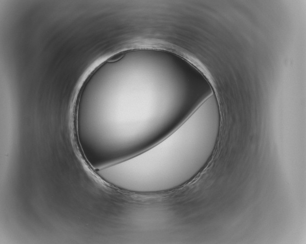 X0000113251152200909100938