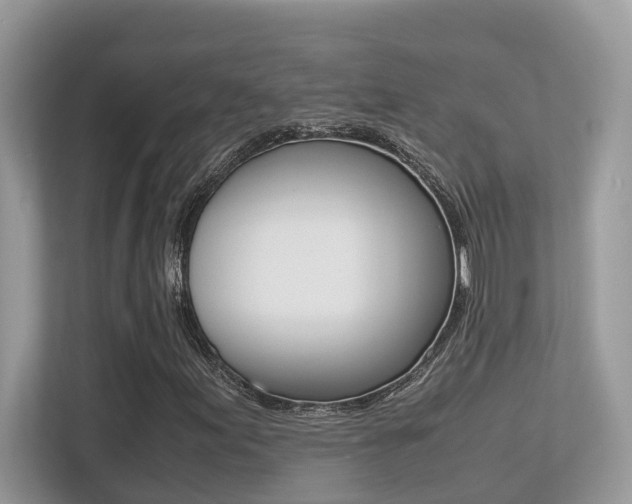X0000113251155200909100937