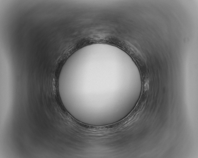 X0000113251156200909100937
