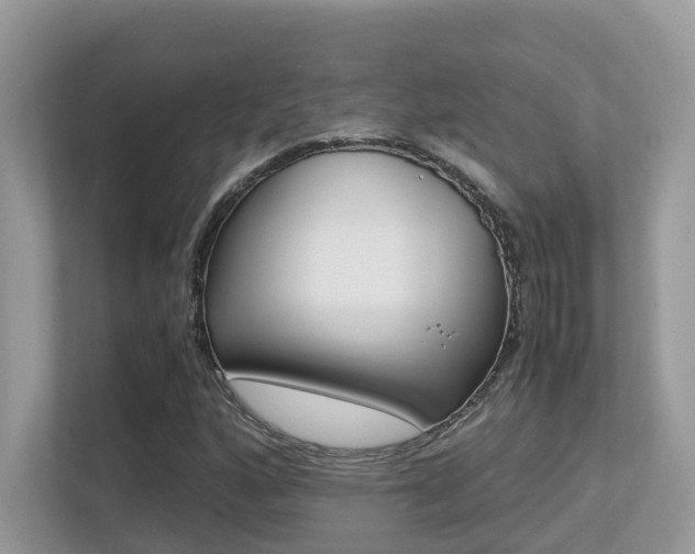 X0000113251160200909100937