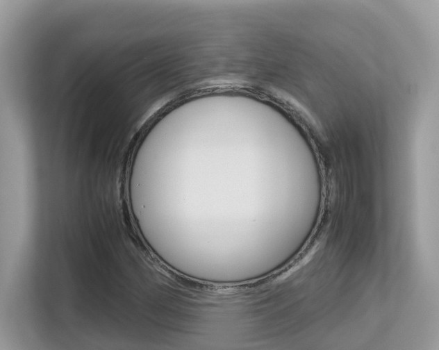X0000113251162200909100937
