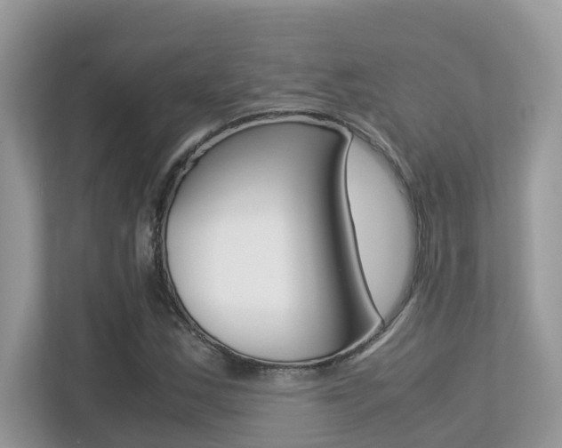 X0000113251163200909100937