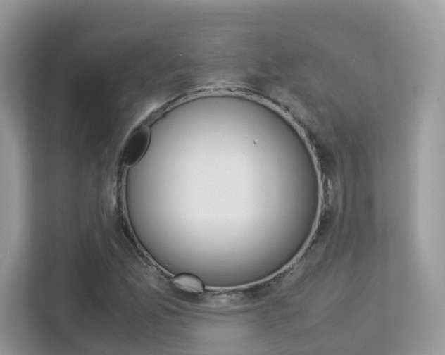 X0000113251165200909100937
