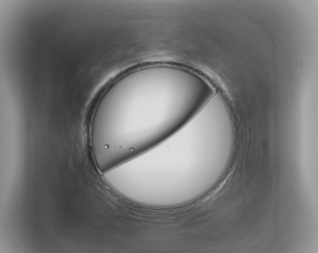 X0000113251167200909100937