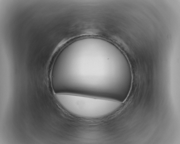 X0000113251168200909100937