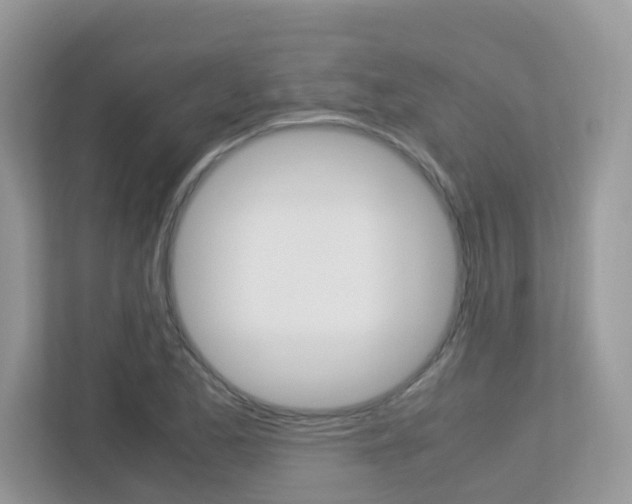 X0000113251173200909100937