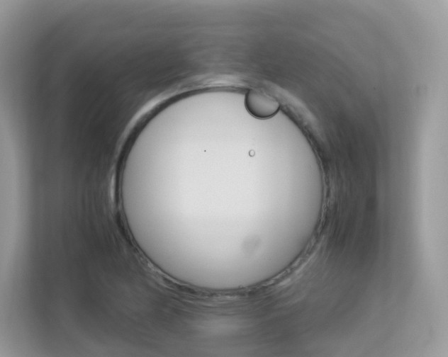 X0000113251174200909100937