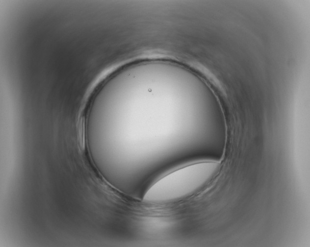 X0000113251175200909100937