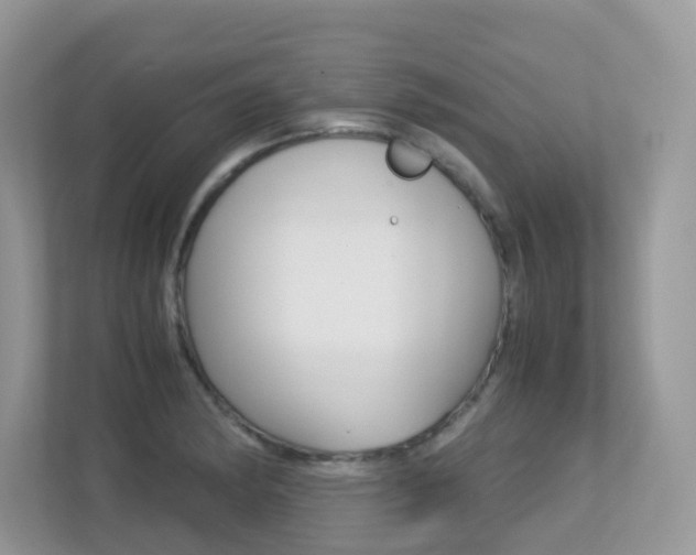 X0000113251182200909100937