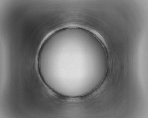 X0000113251183200909100937