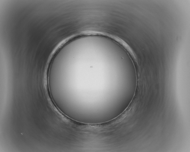 X0000113251191200909100936