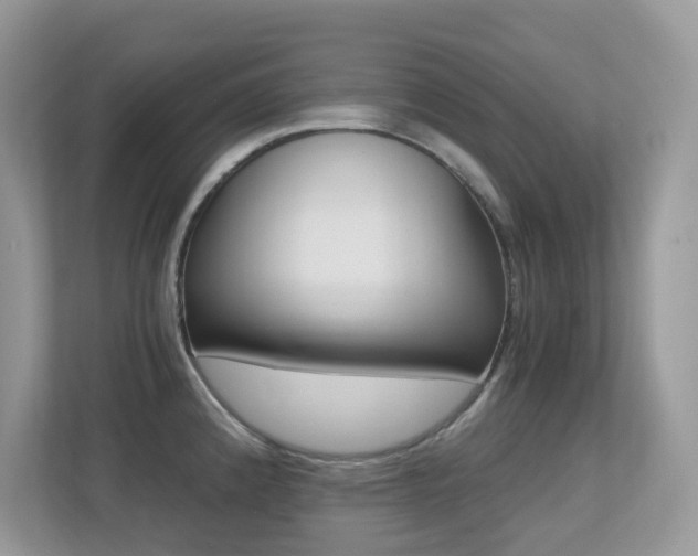 X0000113251192200909100936
