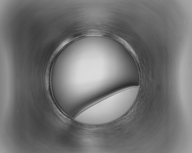 X0000113251195200909100936