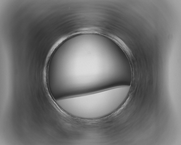 X0000113251196200909100936