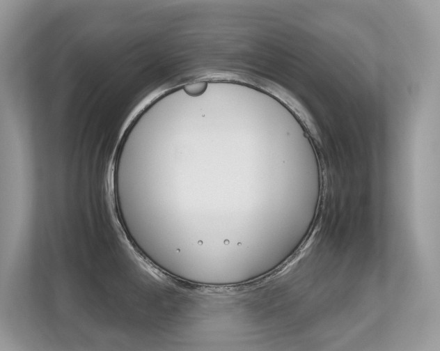 X0000113251198200909100936