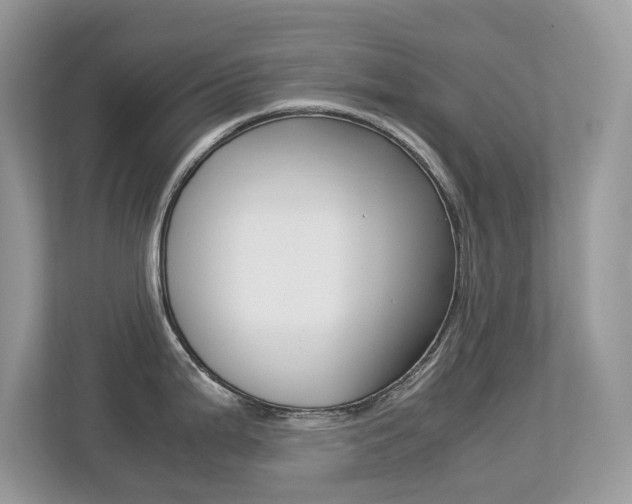 X0000113251199200909100936