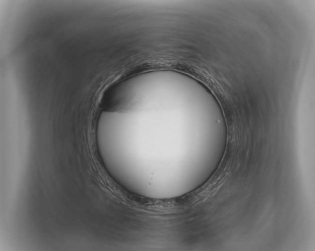X0000113251201200909100936
