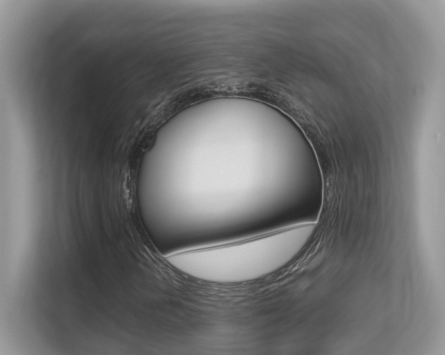 X0000113251202200909100936