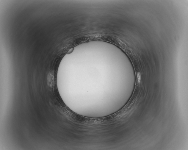 X0000113251203200909100936