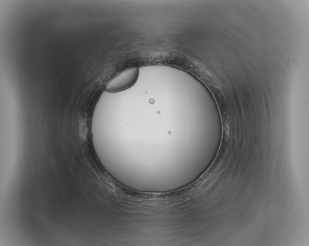X0000113251204200909100936