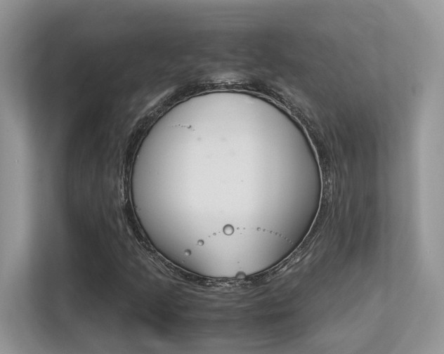 X0000113251205200909100936