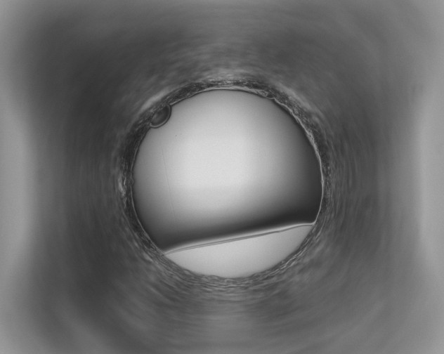 X0000113251206200909100936