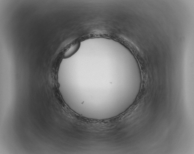 X0000113251207200909100936