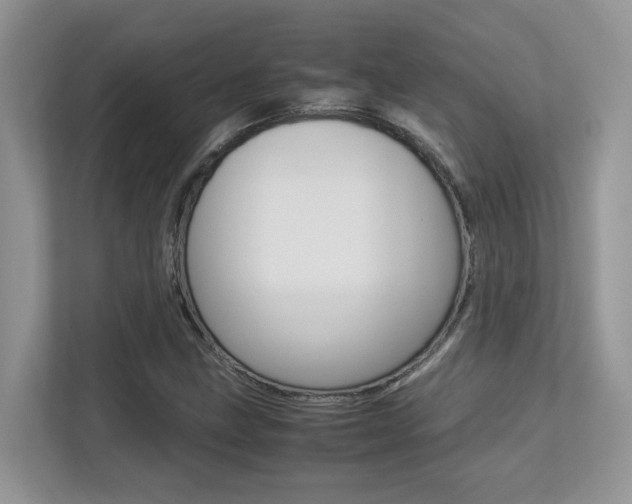X0000113251211200909100936