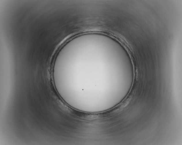 X0000113251212200909100936