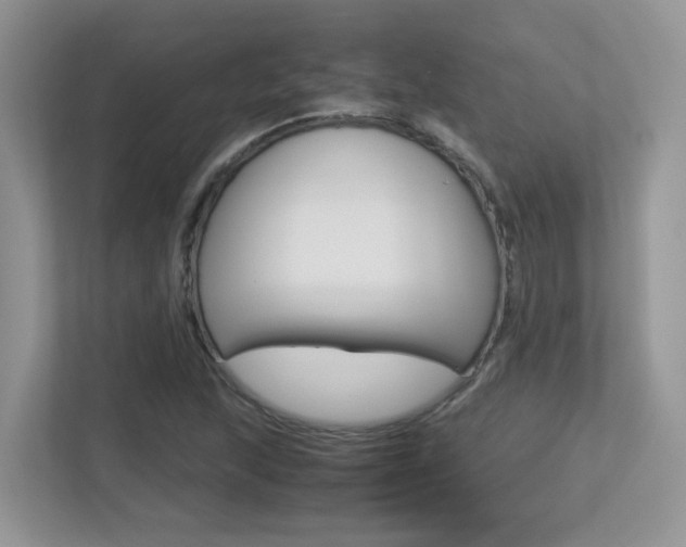 X0000113251215200909100936