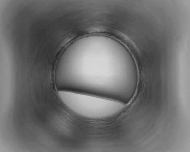 X0000113251217200909100936
