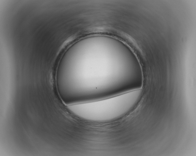 X0000113251218200909100936