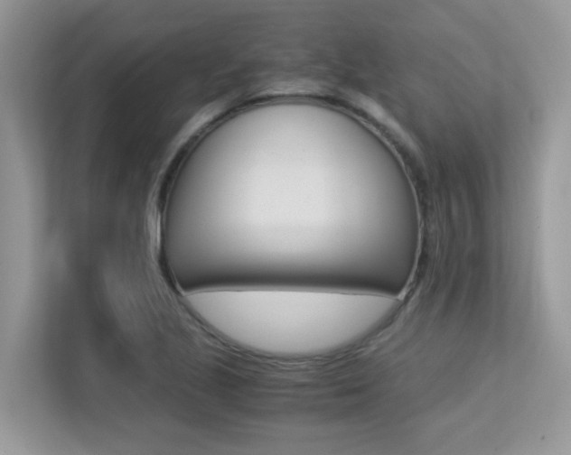 X0000113251221200909100936