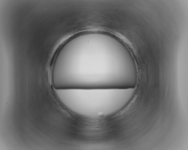 X0000113251223200909100936