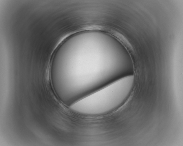 X0000113251228200909100936