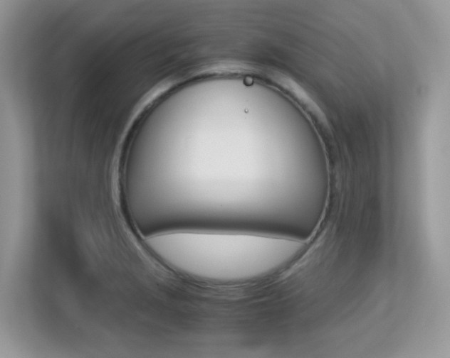X0000113251229200909100936