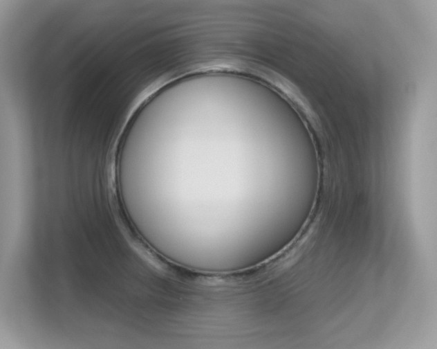 X0000113251234200909100936