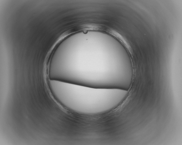 X0000113251235200909100936