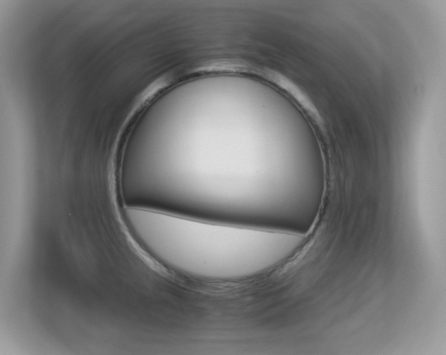 X0000113251237200909100936