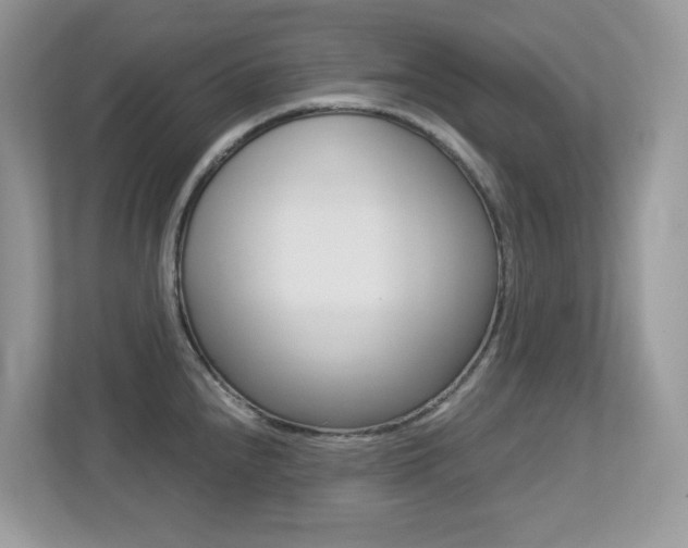 X0000113251240200909100936