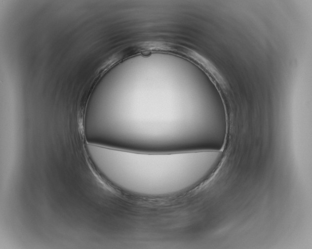 X0000113251241200909100936