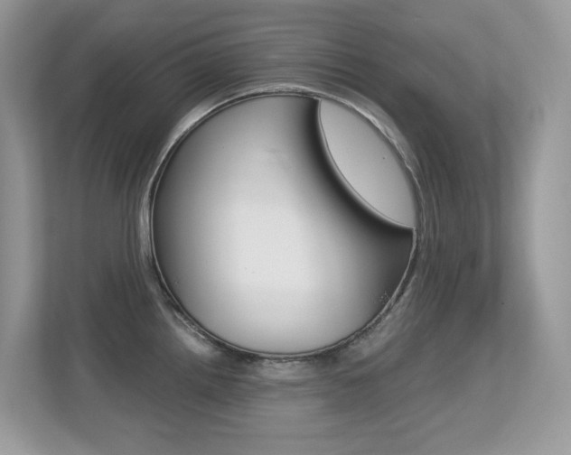 X0000113251242200909100936