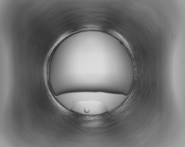 X0000113251243200909100936