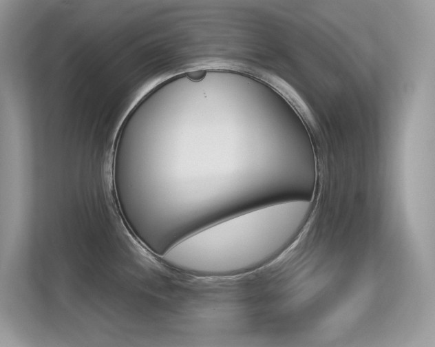 X0000113251244200909100936