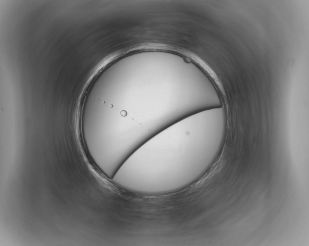 X0000113251245200909100936