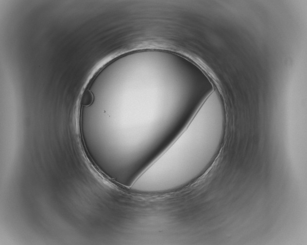 X0000113251246200909100936